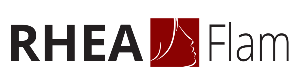 C2AP – RHEAFLAM pour le dimensionnement des conduits de fumée, destiné aux professionnels du chauffage au bois.